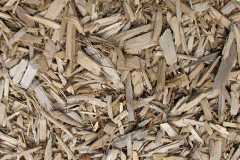 biomass boilers Gidleigh